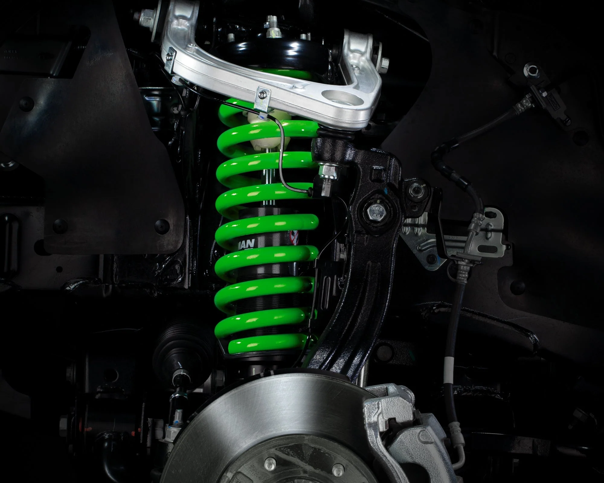 Coil Springs - Medium