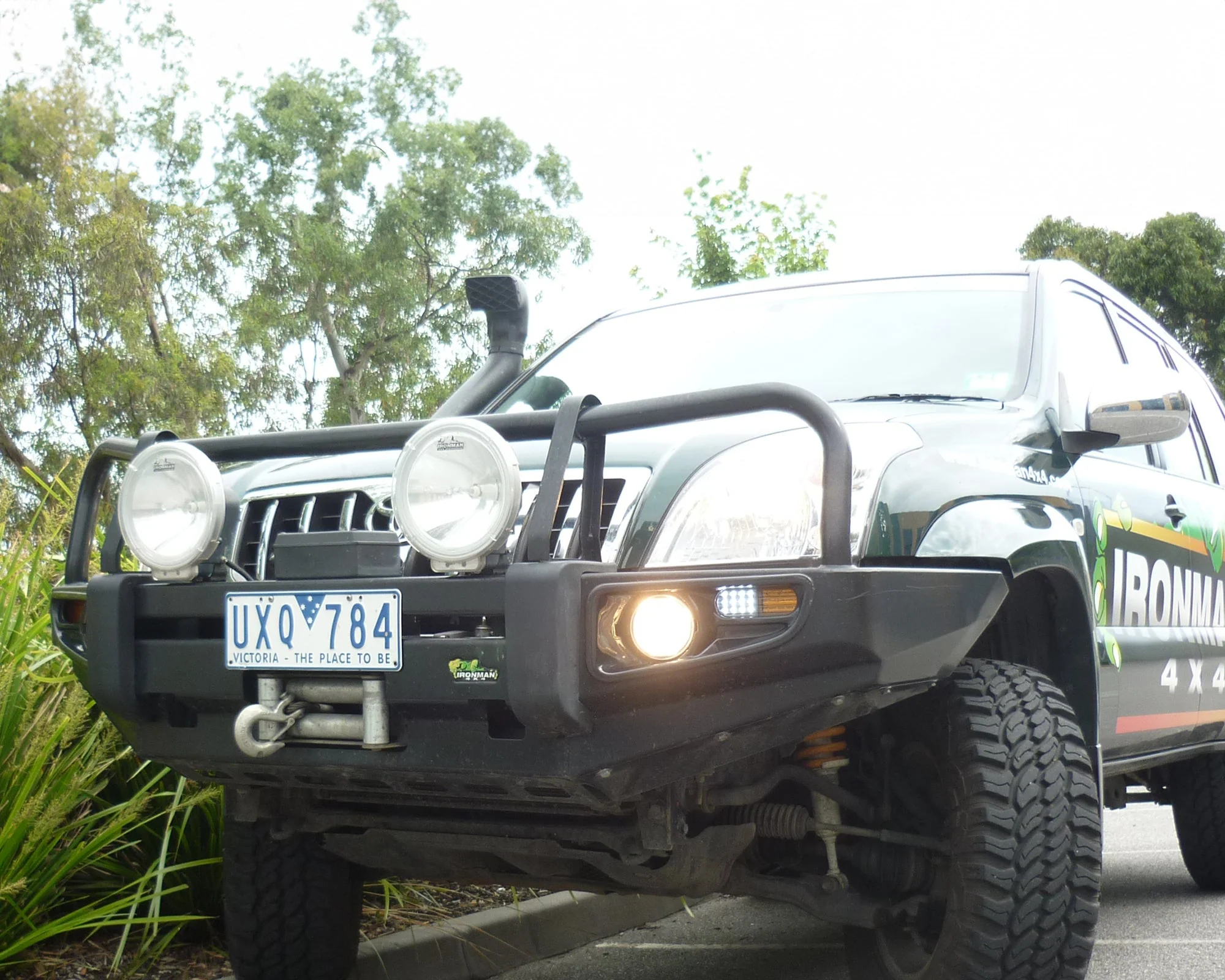 Deluxe Bull Bar - Image 2